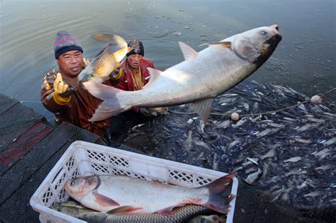 東營哪裏釣魚好