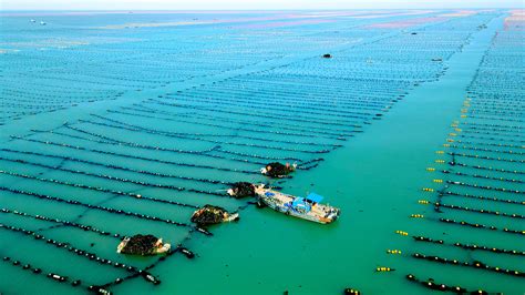 威海泊於在哪裏，一個關於海岸線變遷與人文風貌的探索話題